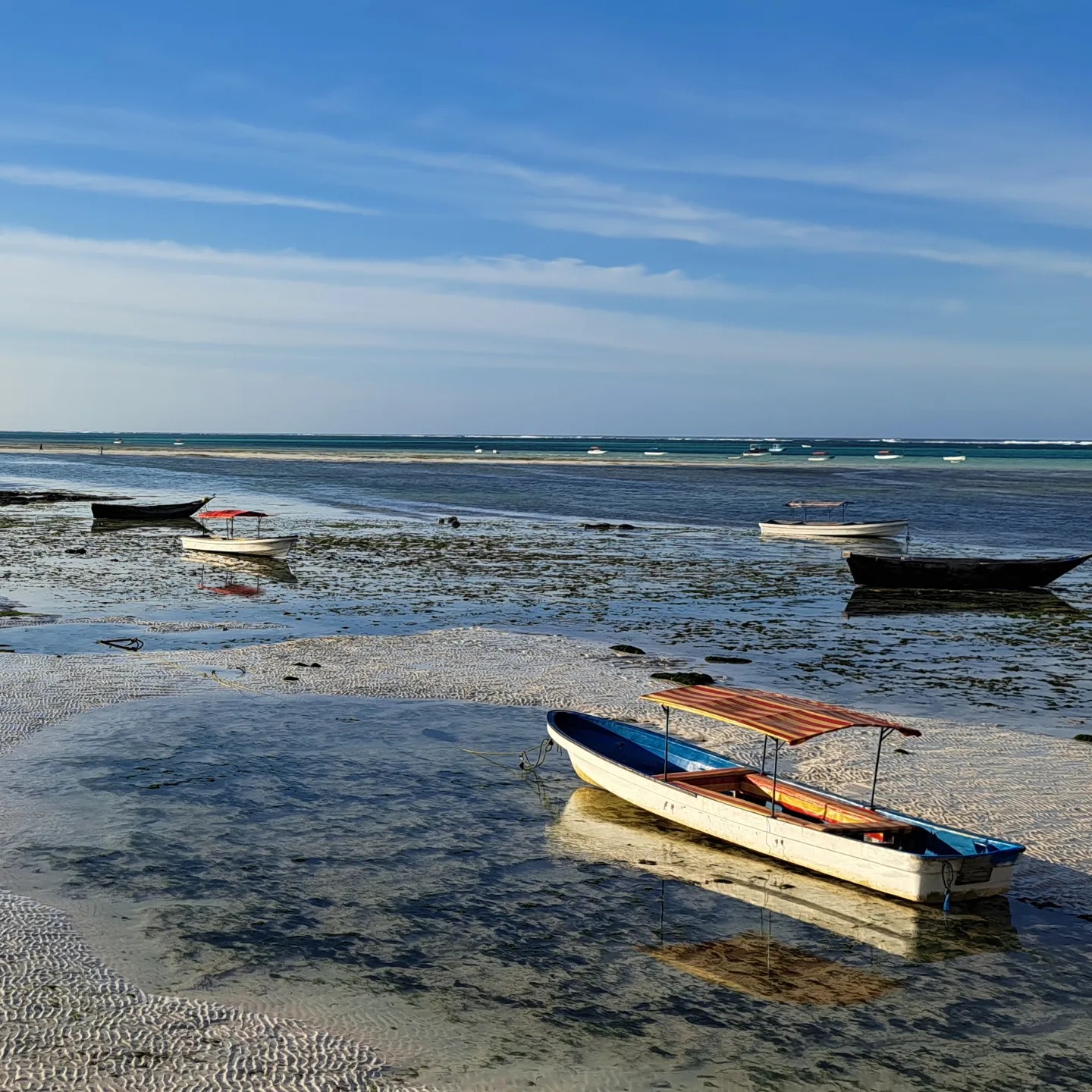 Zanzibar 4